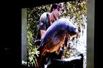 Karperavond met Nick Beuvink